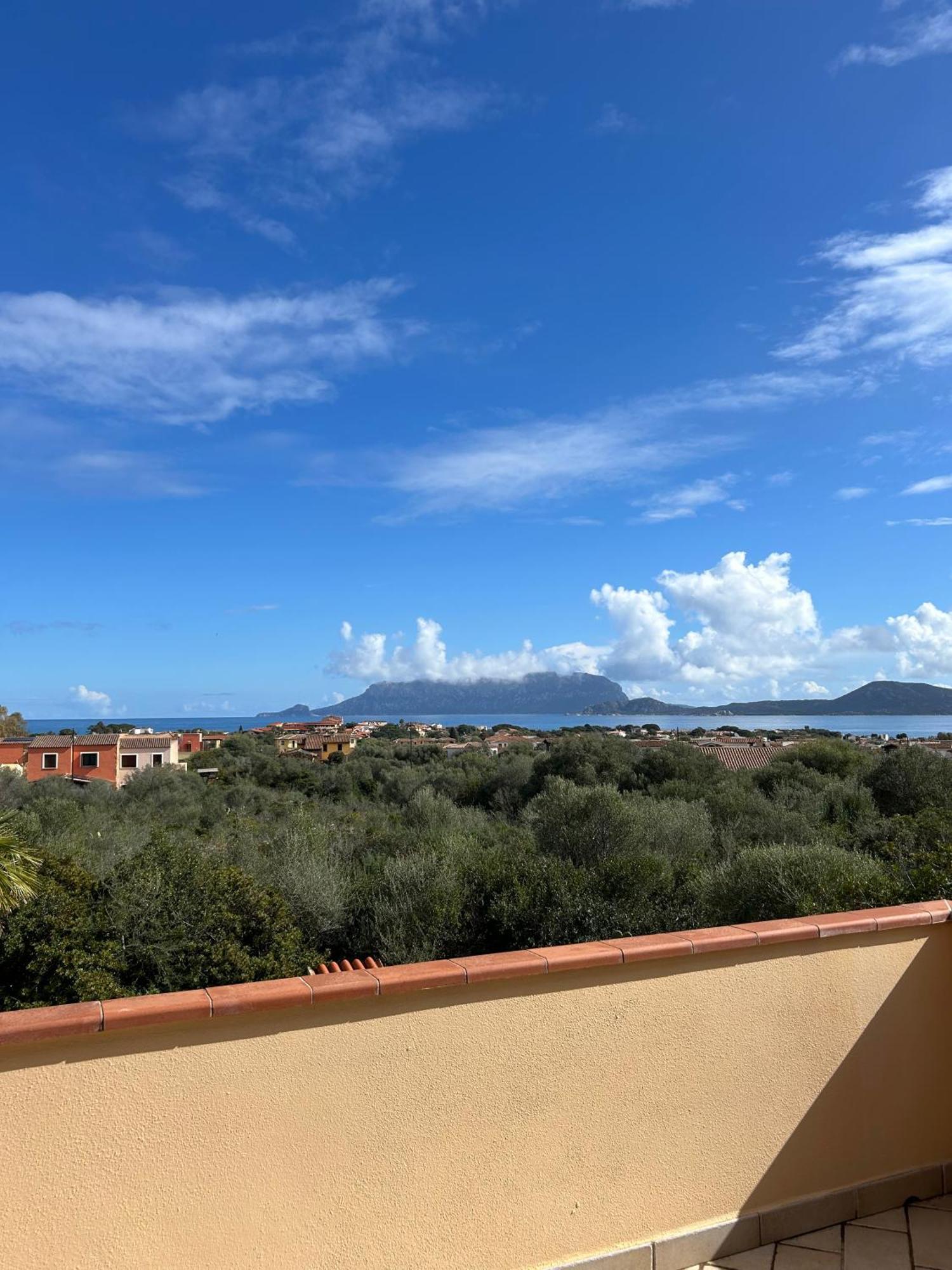 Villa Ulivo Όλμπια Εξωτερικό φωτογραφία