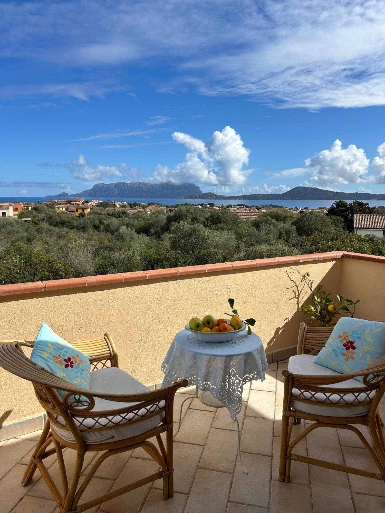 Villa Ulivo Όλμπια Εξωτερικό φωτογραφία