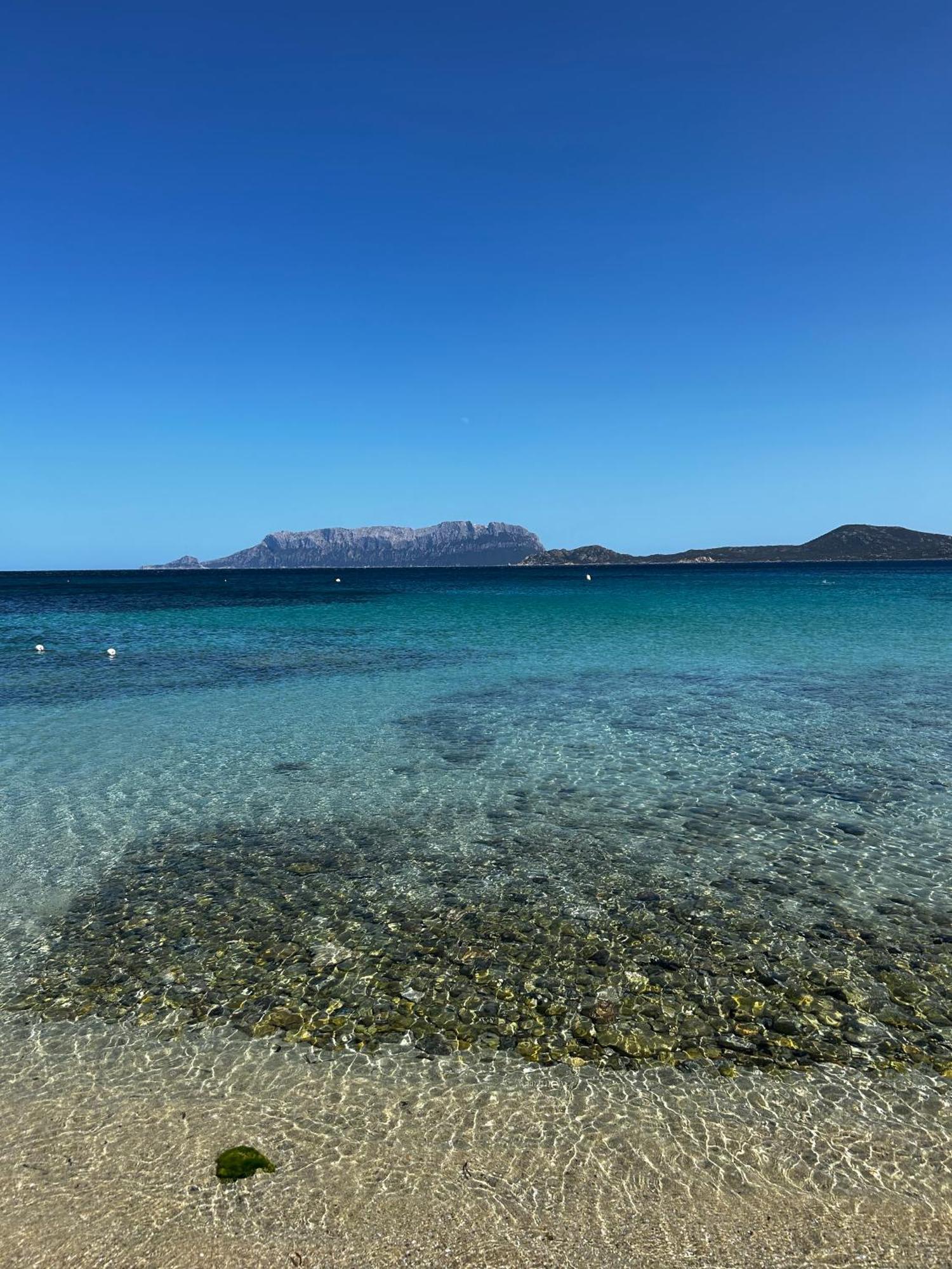 Villa Ulivo Όλμπια Εξωτερικό φωτογραφία